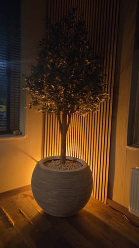 Customer photo review of Kunst Olijfboom 170cm Deluxe