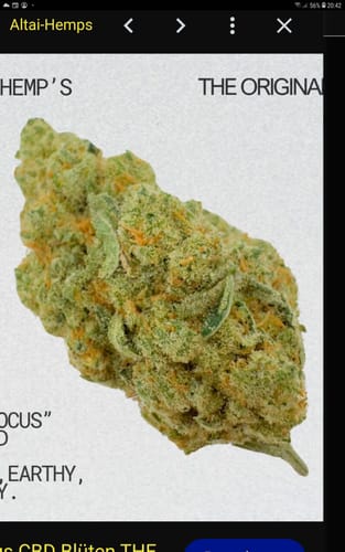 Customer photo review of Gorilla Glue Ökopack