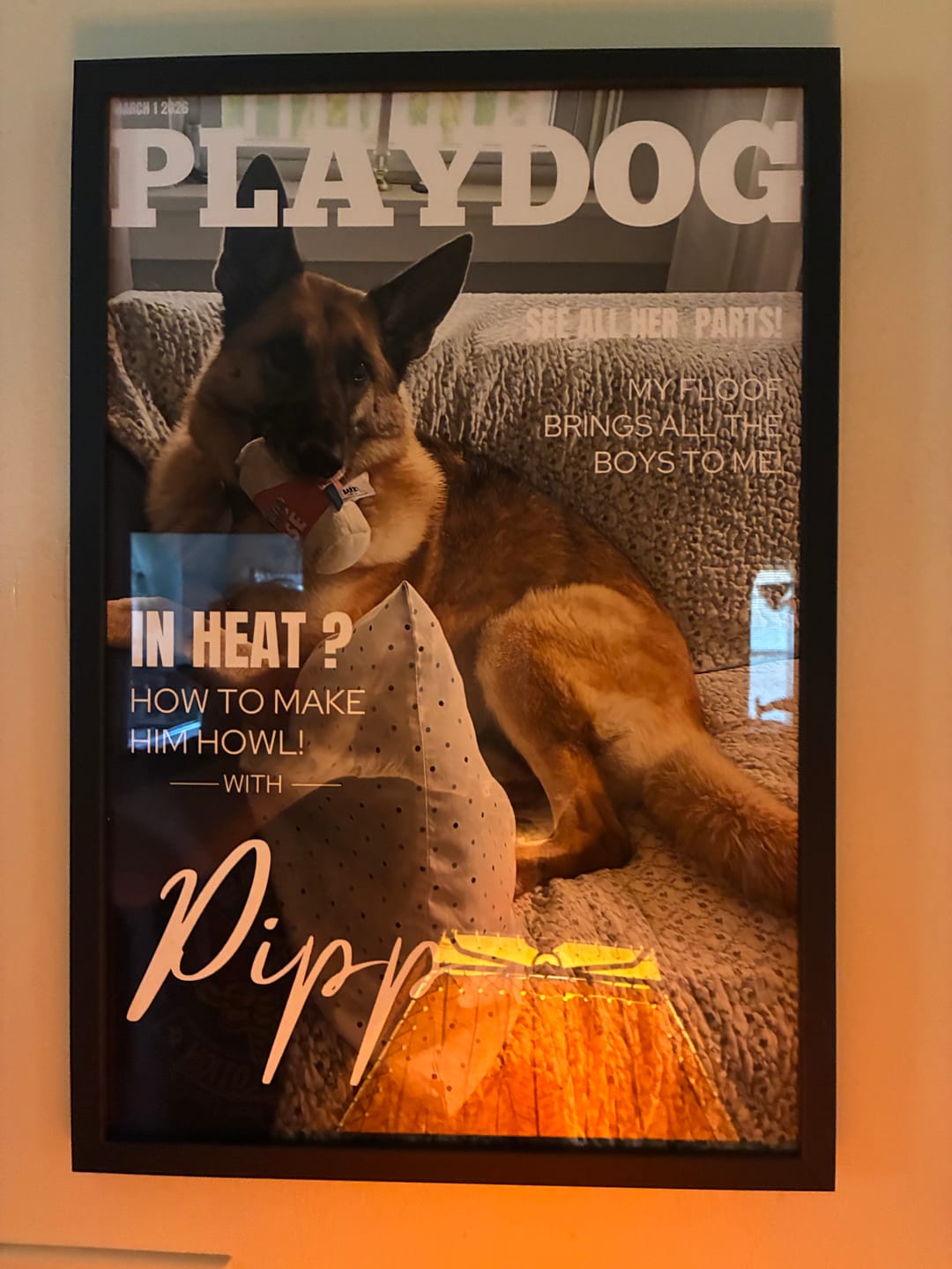 Customer photo review of Pet Portrait Magazine Cover