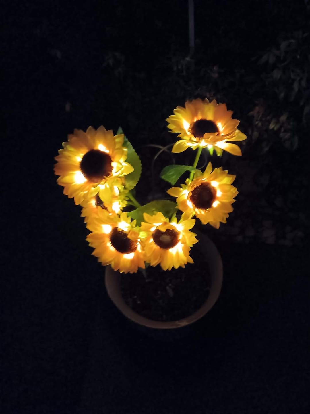 Customer photo review of Tournesols Féériques® | Fleurs solaires décoratives