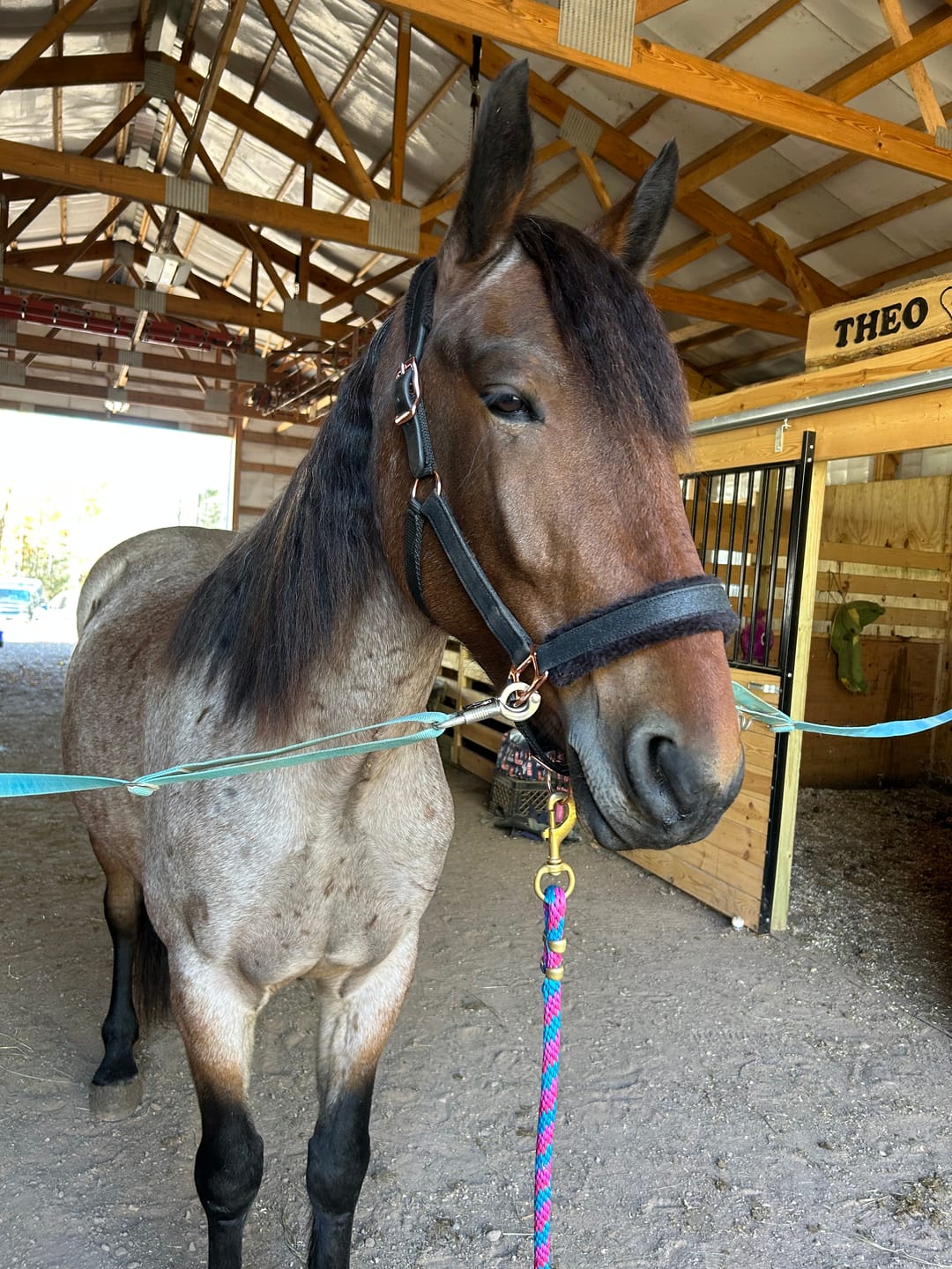 Customer photo review of NEW COLORS- Fantasia's Sparkle Halter
