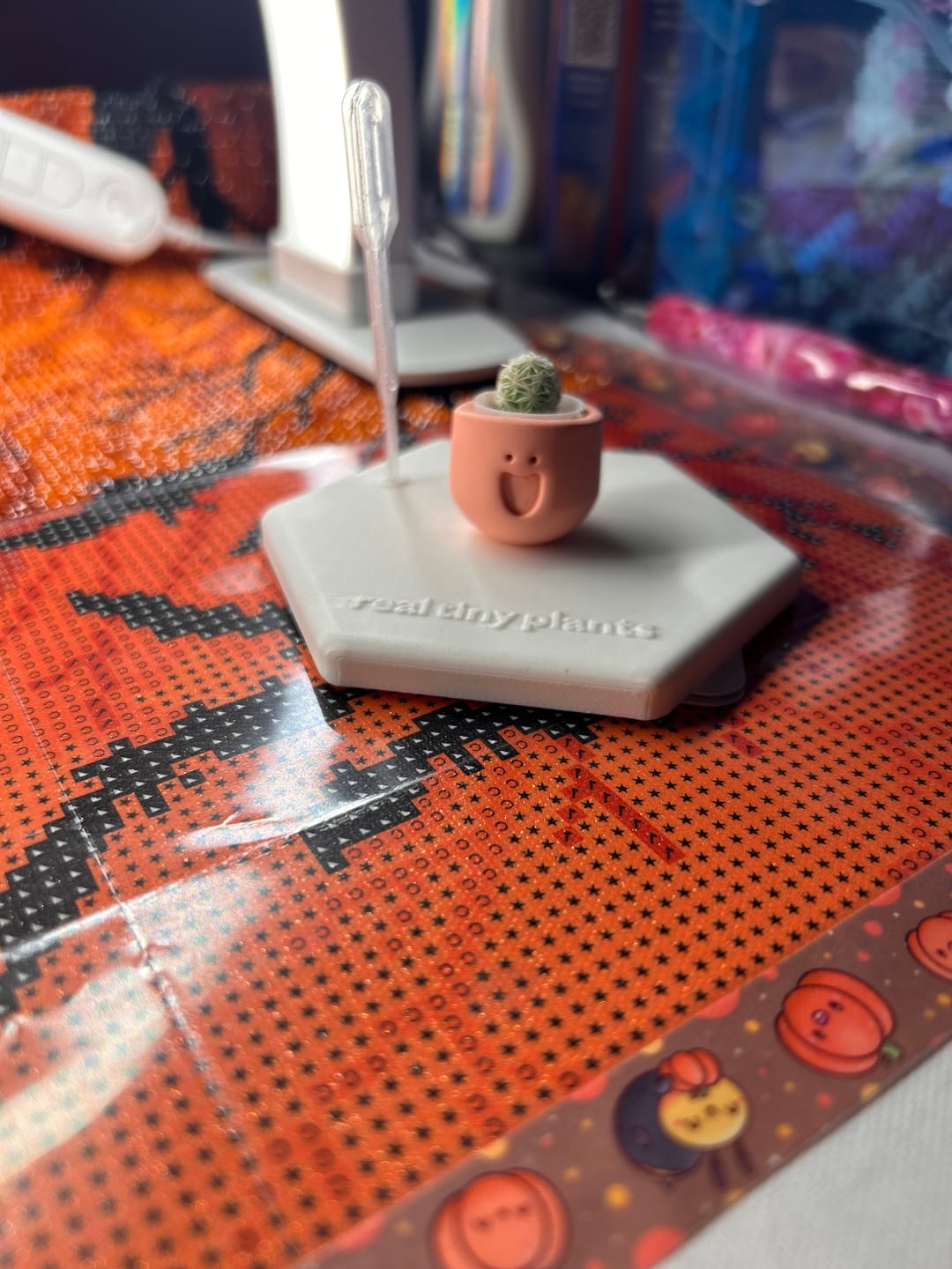 Customer photo review of LOL