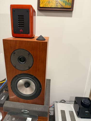 Customer photo review of PST Planar-Magnetic Ribbon Super Tweeter Speaker Pair
