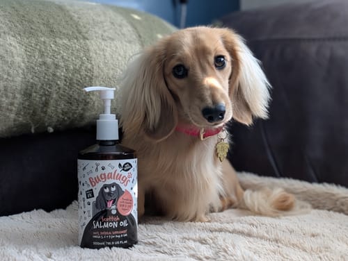Customer photo review of Scottish Salmon Oil for Dogs & Cats