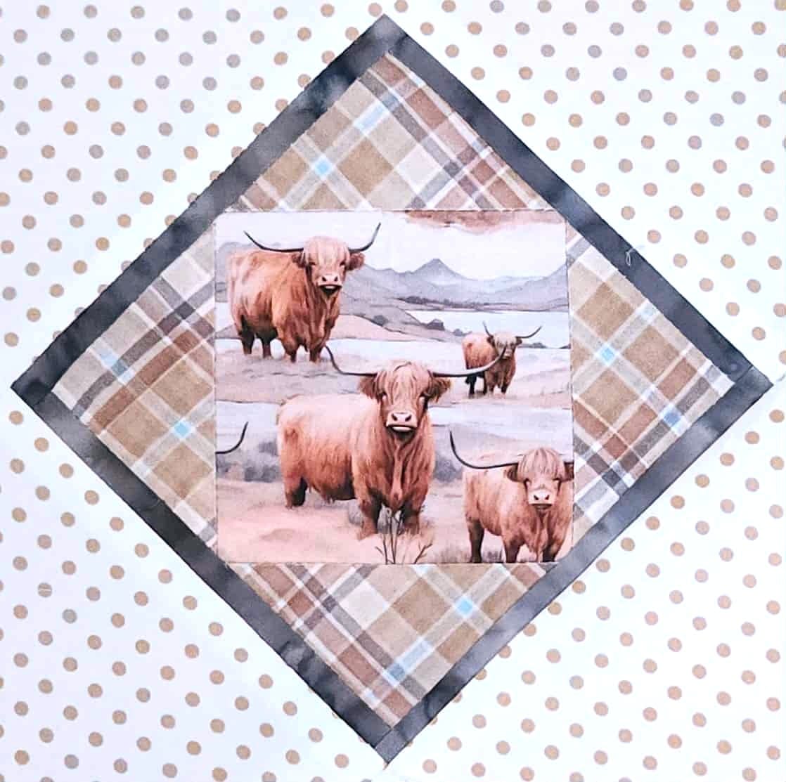 Customer photo review of Scottish Highland Cows #1 Fabric