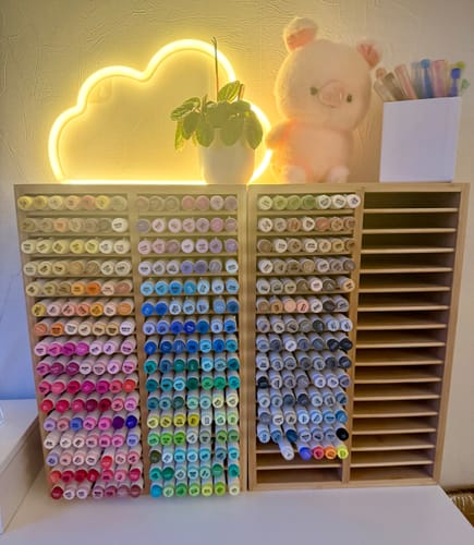 Customer photo review of Ohuhu Honolulu 320 Colors Dual Tips Alcohol Art Markers