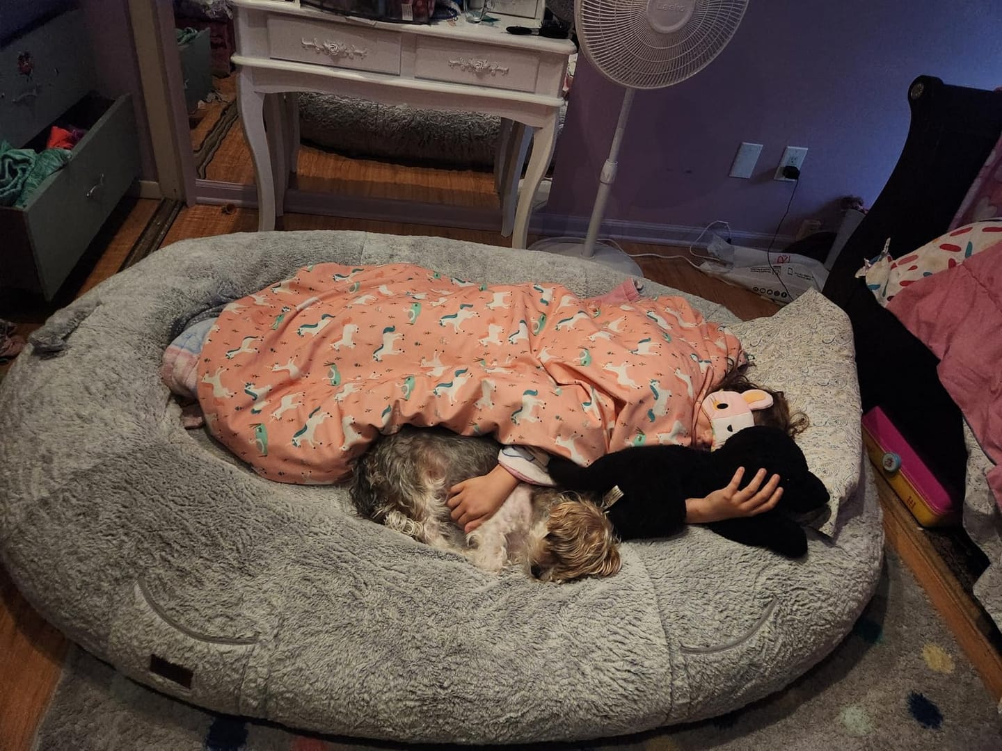 Customer photo review of Plush Donut Orthopedic Dog Bed-Human Size