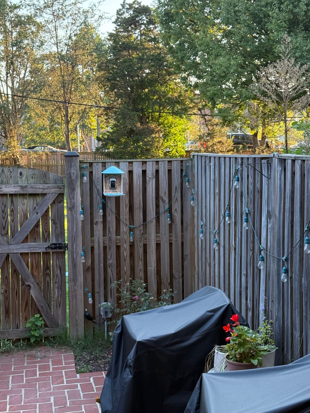 Customer photo review of Birdfy Feeder - AI-Powered Smart Bird Feeder with Camera