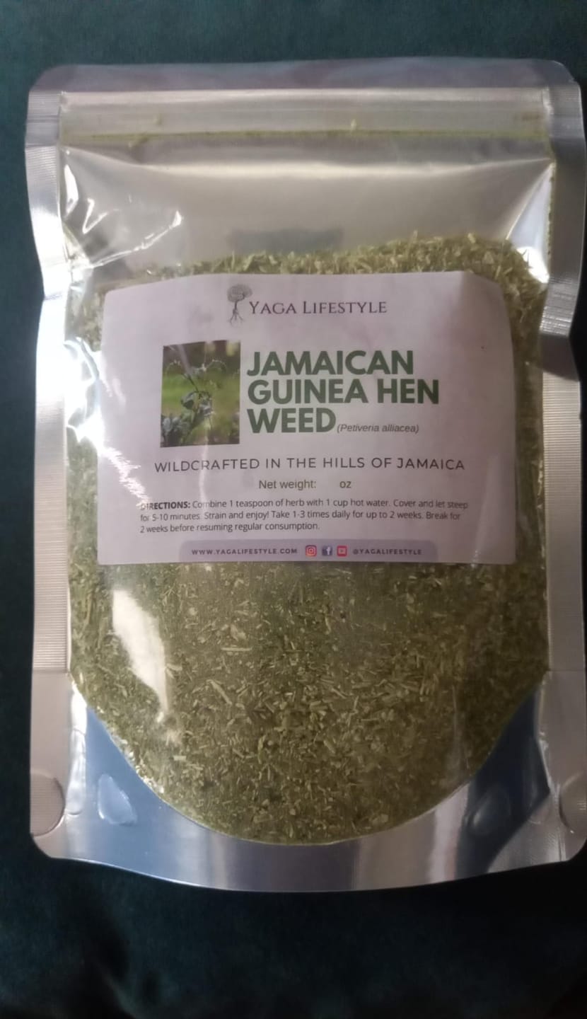 Customer photo review of Jamaican Guinea Hen Weed (Anamu)