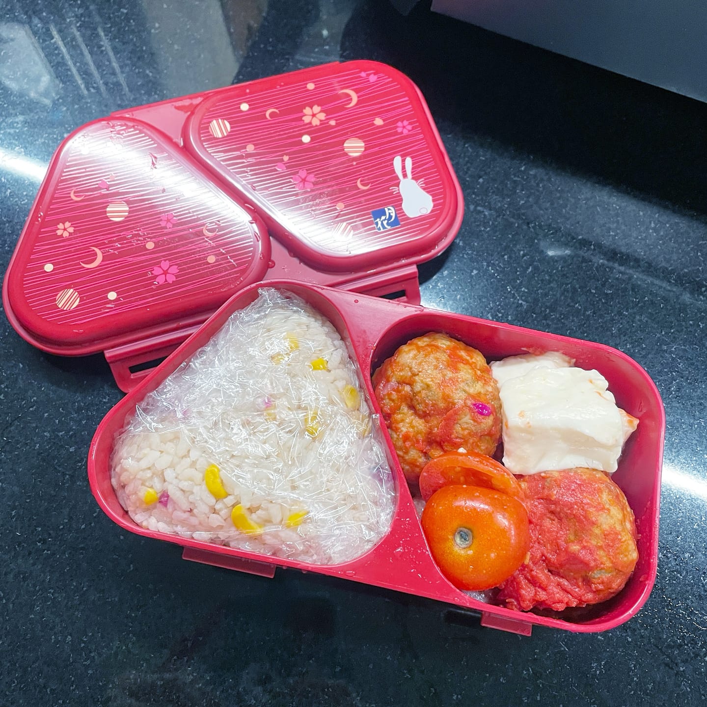 Customer photo review of Onigiri Maker Lunch Case | Moon Rabbit