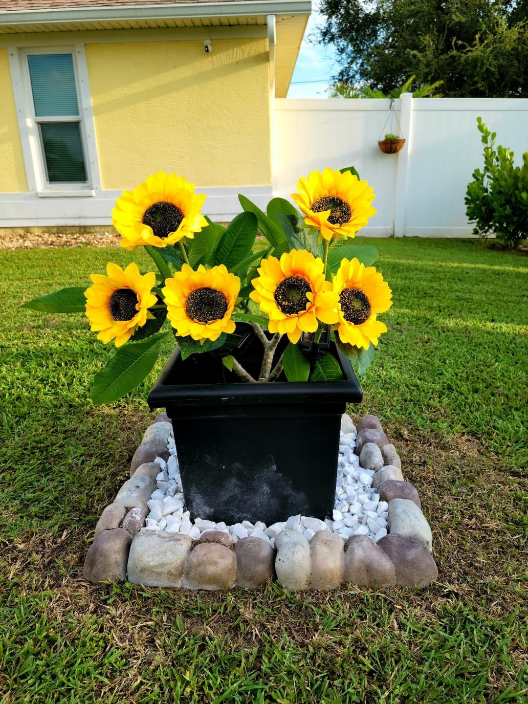 Customer photo review of Tournesols Féériques® | Fleurs solaires décoratives