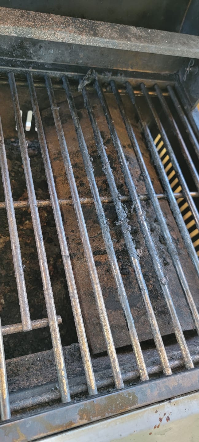 Customer photo review of Just For Me: 1 Handle + 2 Cleaning Heads (w/ Scraper)