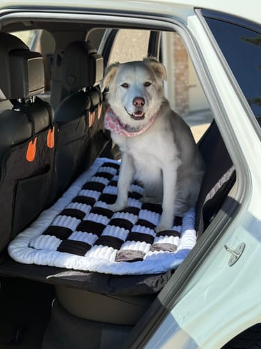 Customer photo review of RuffRover 2.0™ - Hard Bottom Dog Car Seat Protector