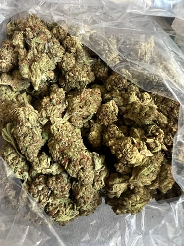 Customer photo review of Wedding Crasher- Bulk - Hybrid