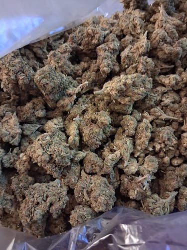 Customer photo review of Cheap THCA Flower Pound