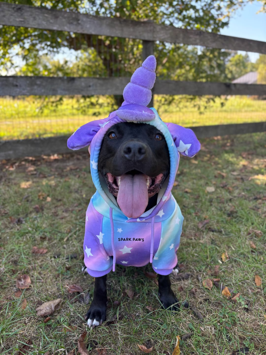Customer photo review of Halloween Dog Hoodie - Unicorn