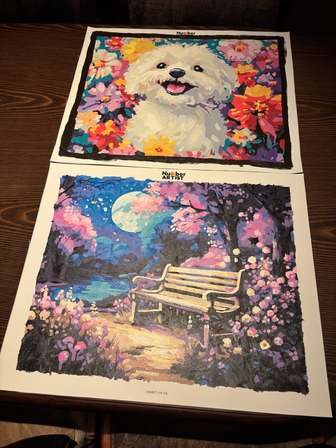 Customer photo review of Bichon Frise