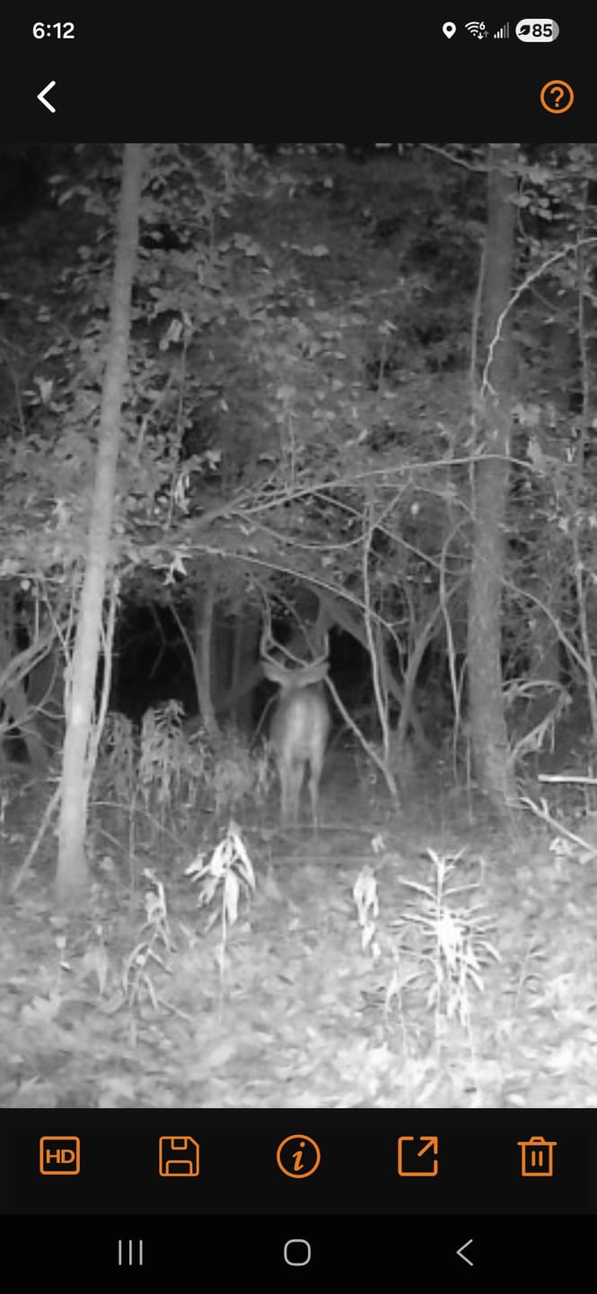 Customer photo review of GardePro X66 Pro Cellular Trail Camera-(USA/CA Model)