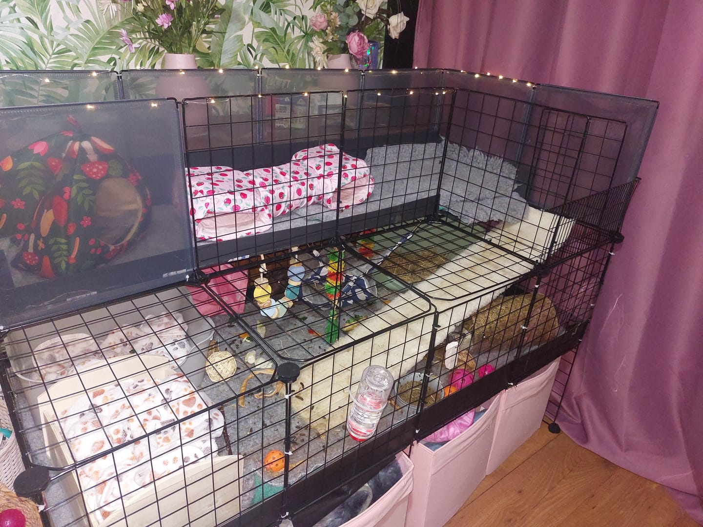 Customer photo review of C&C Cage Extension