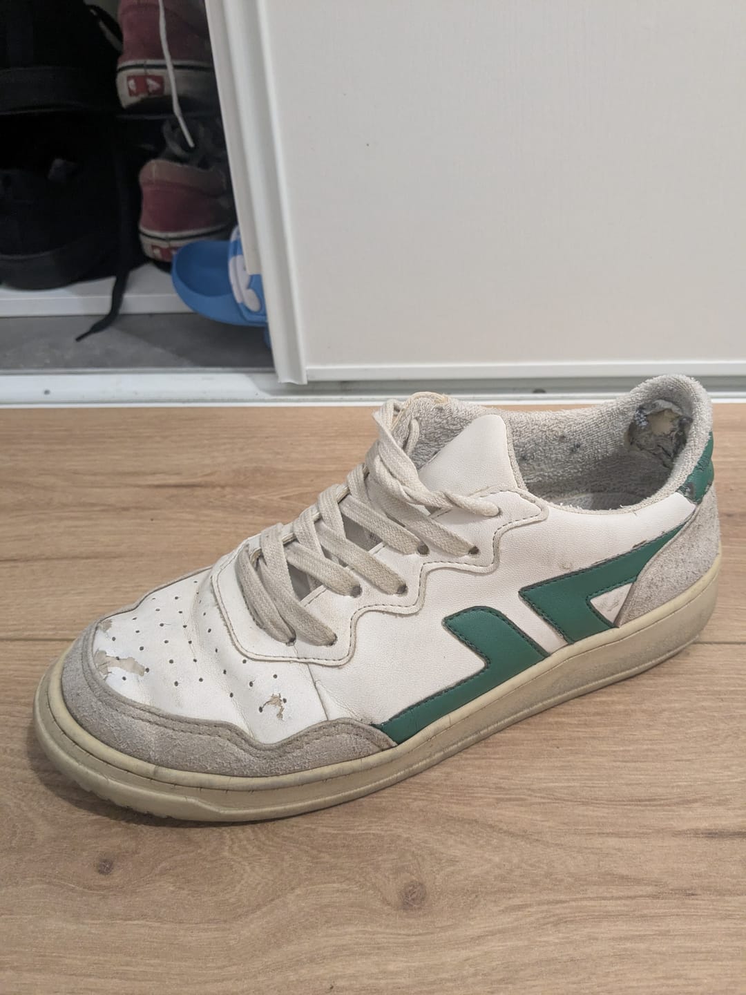 Customer photo review of Bêta B1 Vert