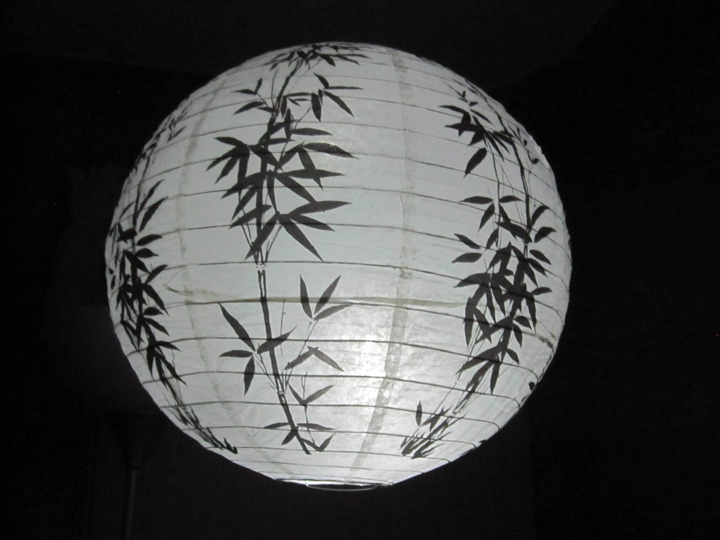 Customer photo review of 3-Pack Kit w/ Remote Control Cool White 12-LED Omni360 Omni-Directional Lantern Light, Hanging / Table Top (Battery Powered)