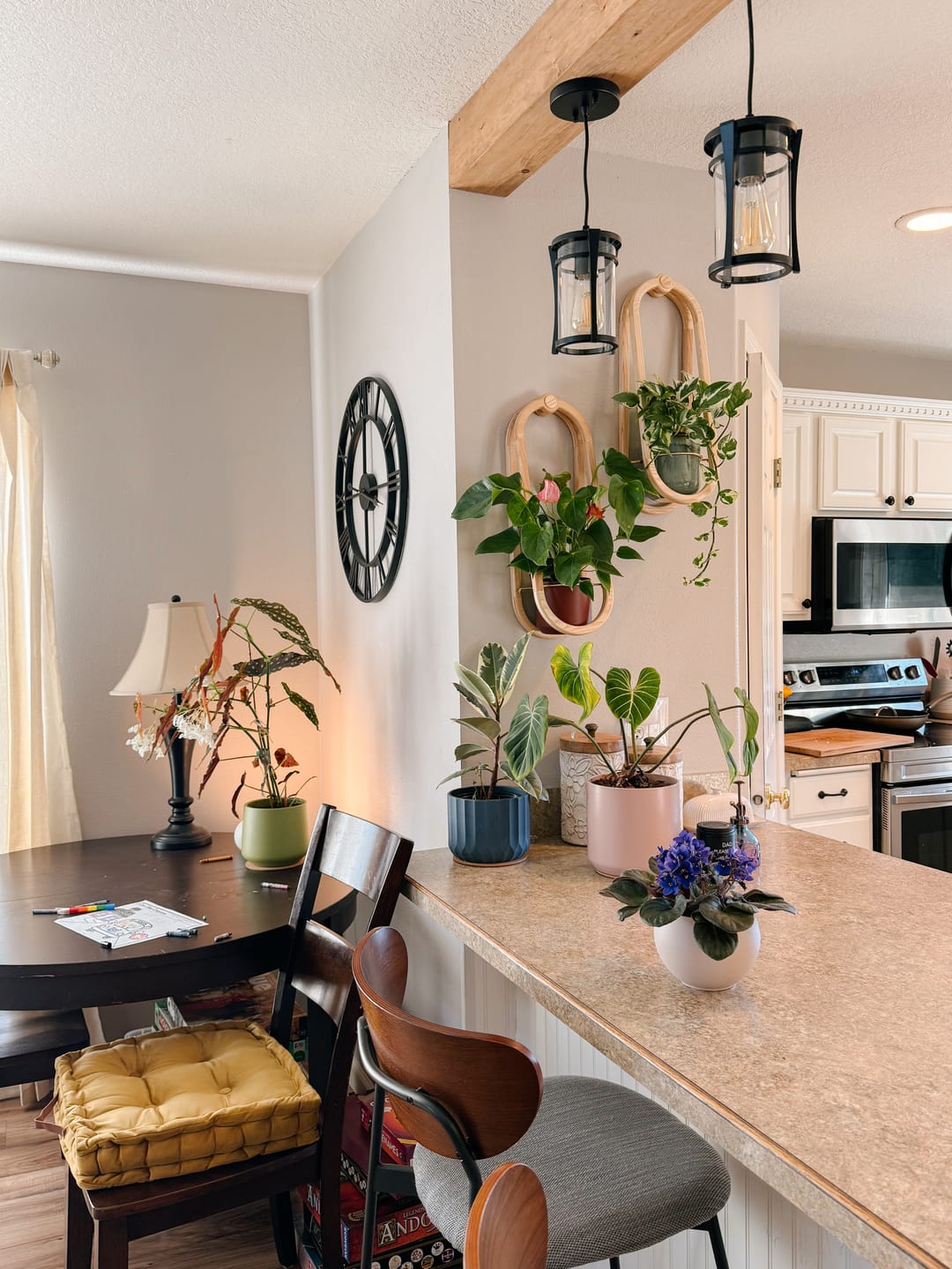 Customer photo review of Frame Wall Planter + Pot Duo