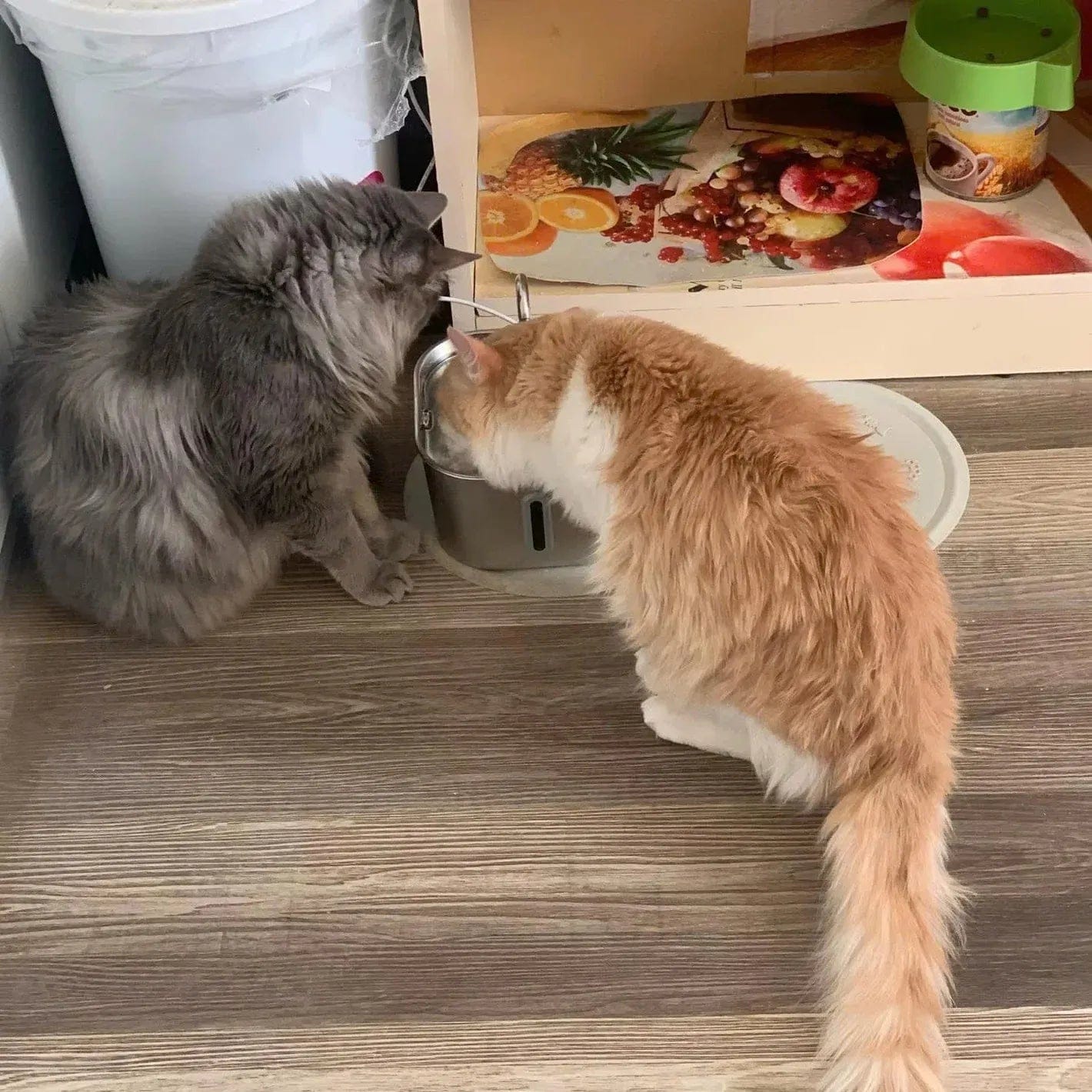 Customer photo review of VitaCat Drikkefontene - 2.2L