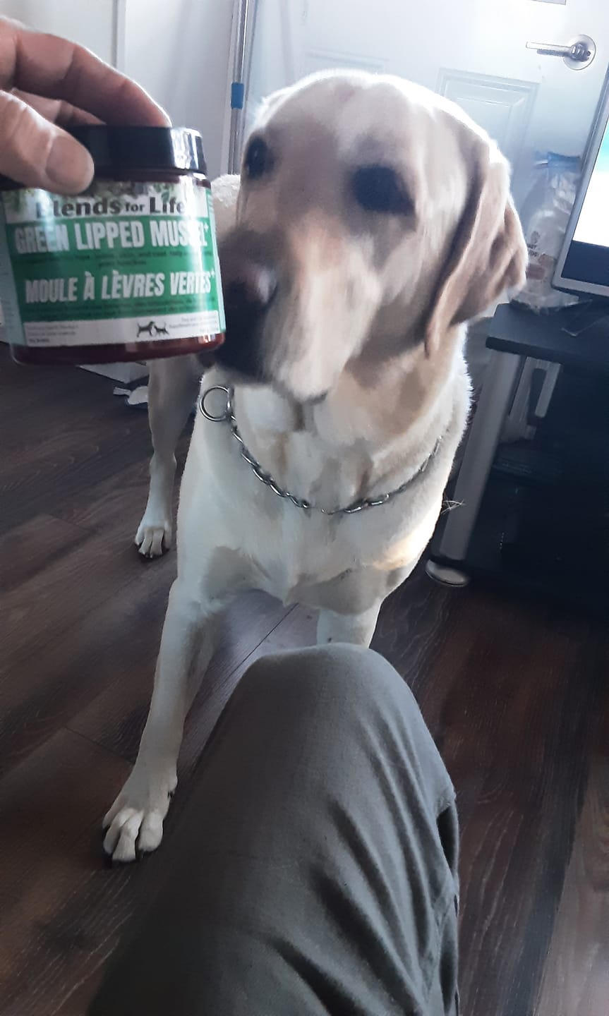 Customer photo review of LivStrong - Moule Verte pour chien 160g