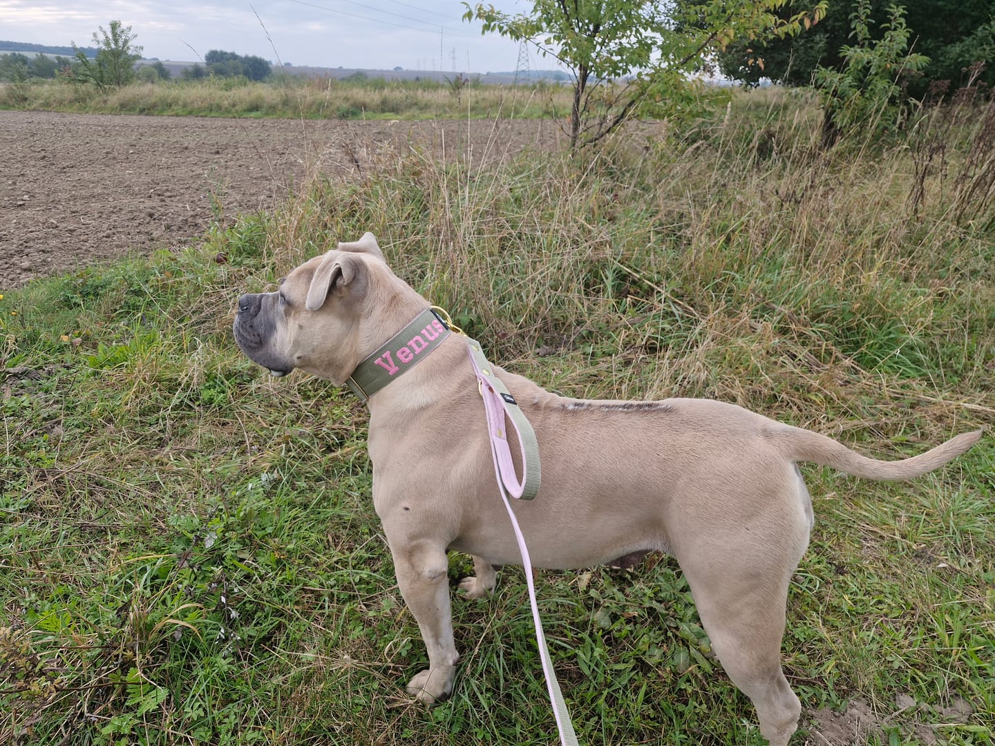 Customer photo review of Smycz przepinana dla psa z imieniem - Personal Multi Leash