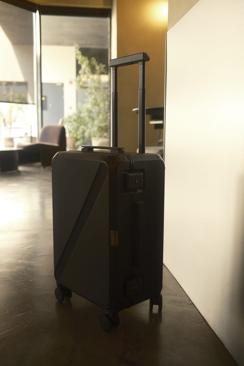 Customer photo review of CABIN TRUNK | DAIKANYAMA