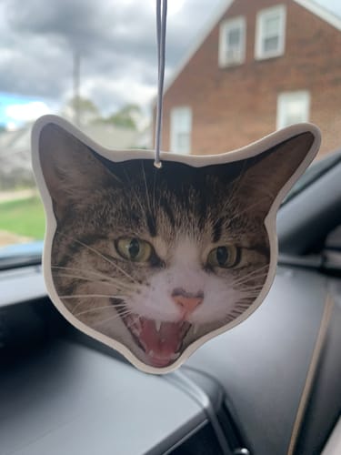 Customer photo review of Custom Air Freshener