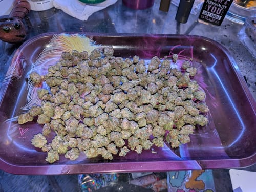 Customer photo review of Candy Runtz - 28 Grams - Littles