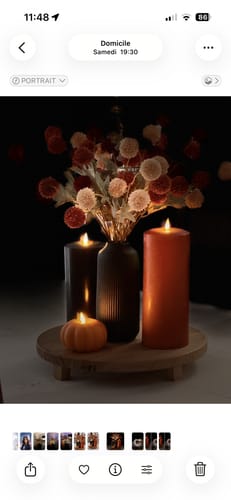 Customer photo review of Fleur de Kiku - Mélange (10 tiges/ 50 pompons)