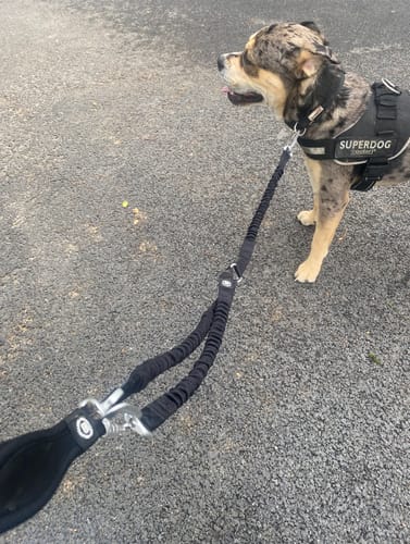 Customer photo review of Shock Absorber Lead | Double Ended - Black