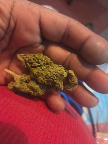 Customer photo review of White Widow - 28 Grams - Hybrid