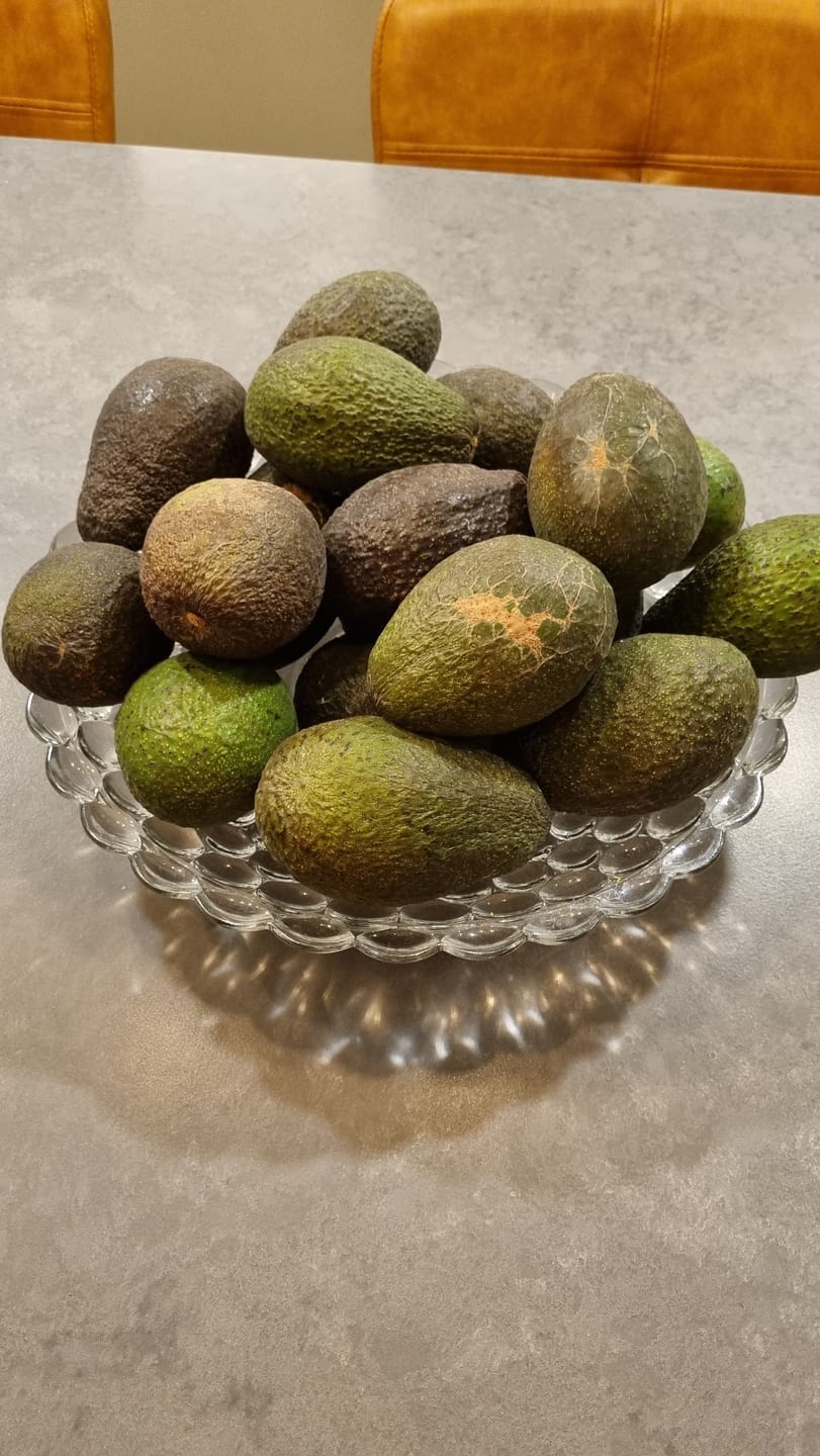 Customer photo review of 7 kg Palta Hass Chilena