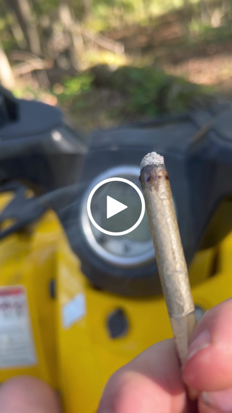 Customer video review of Indoor Smalls