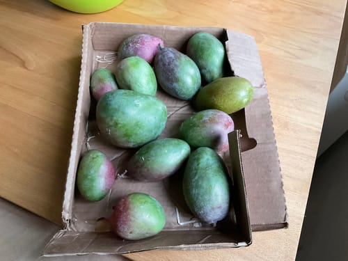 Customer photo review of Baby-Mango Lippens von Julian