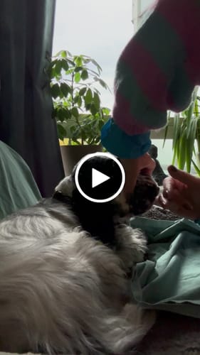 Customer video review of FreshWipe Kit - Beskytter mot tannproblemer