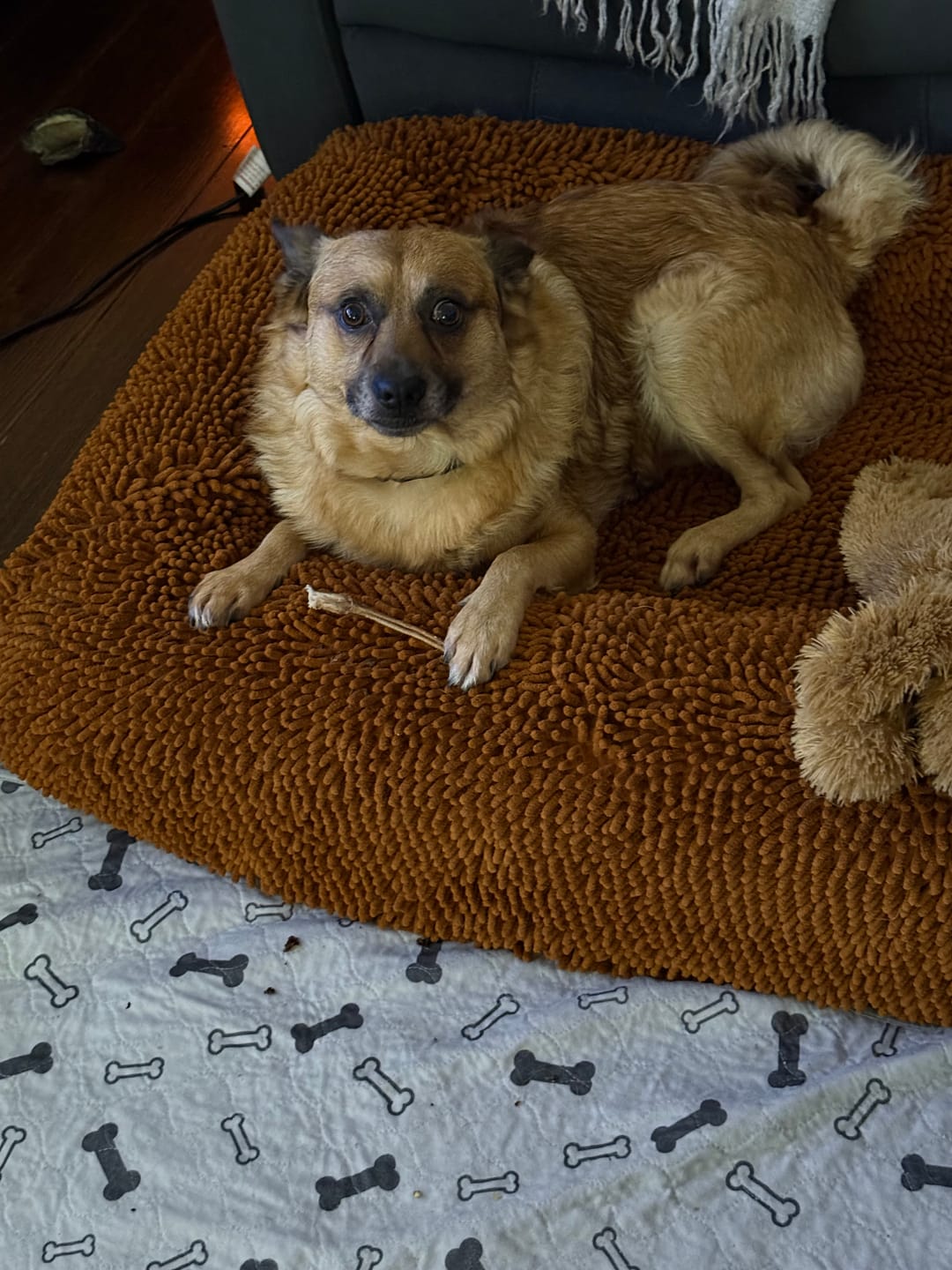 Customer photo review of Roo Tendons