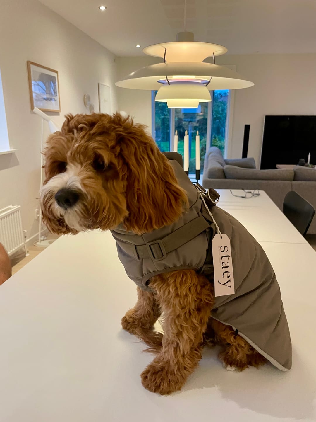 Customer photo review of Staey - Vera Hundejakke m. sele, Sage