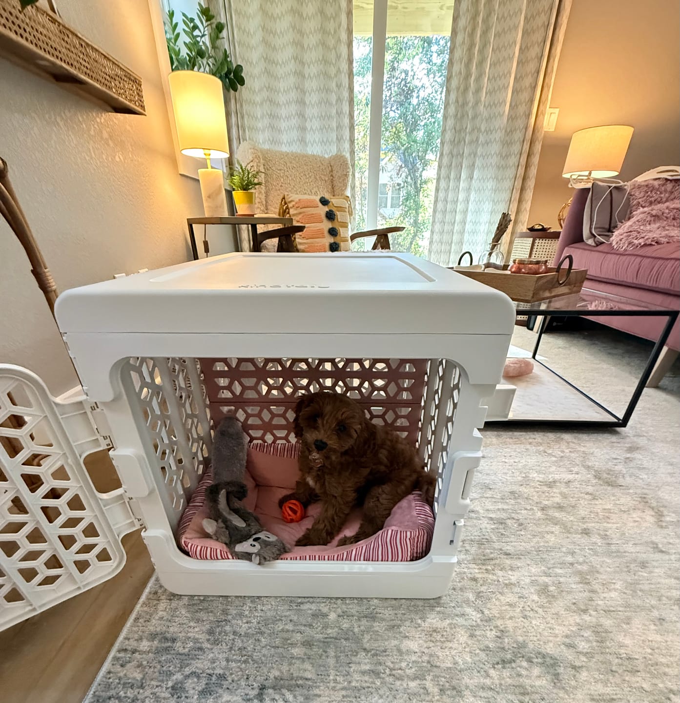 Customer photo review of Medium PAWD divider