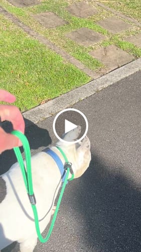 Darryl W. review of Soft Rope Slip Lead 8mm image 1 out of 1