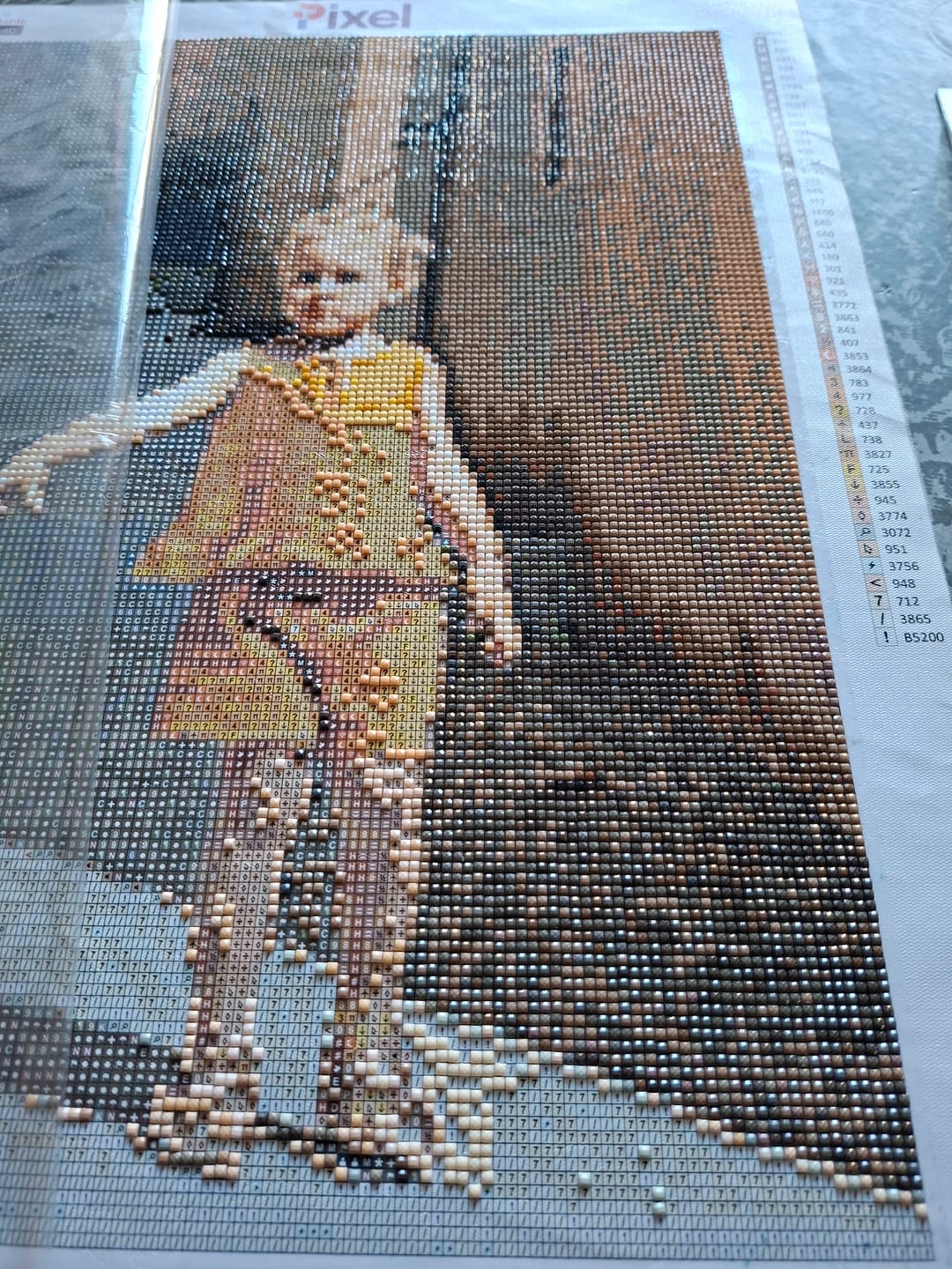 Customer photo review of Diamond Painting Eigen Foto - Snelle Levering