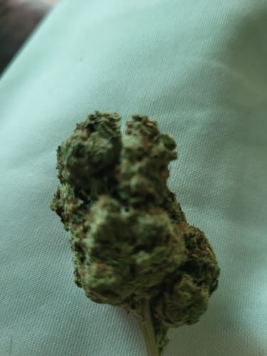Customer photo review of Cheesecake - Bulk - Indica