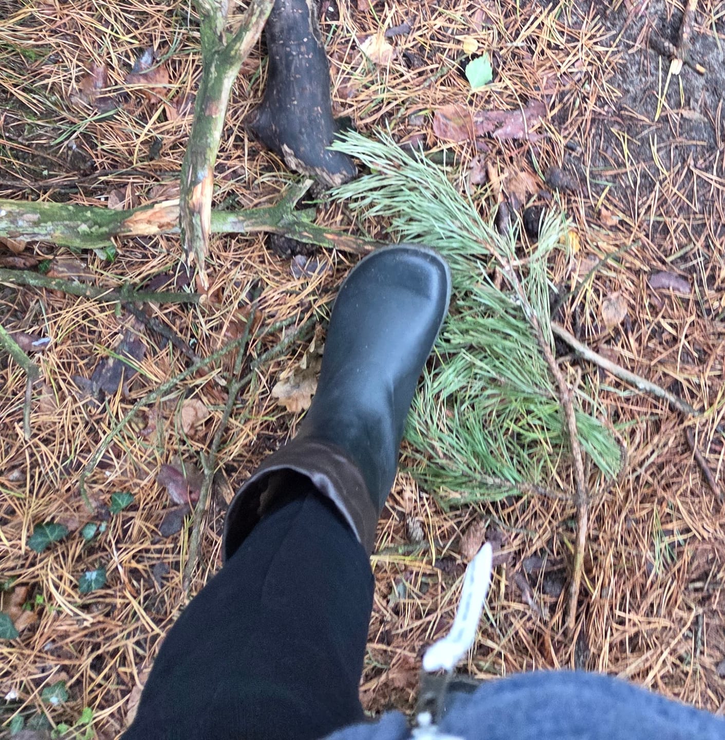 Customer photo review of Brisk Ⅰ - Barfuß-Gummistiefel