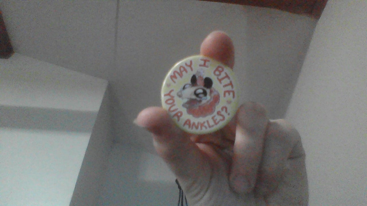 Customer photo review of Party Opossum Buttons