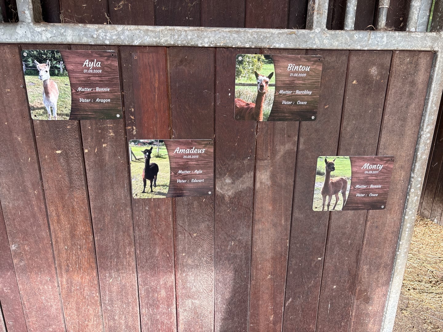 Customer photo review of Pferde Boxenschild mit Foto & Wunschtext (UV- und wetterfest)