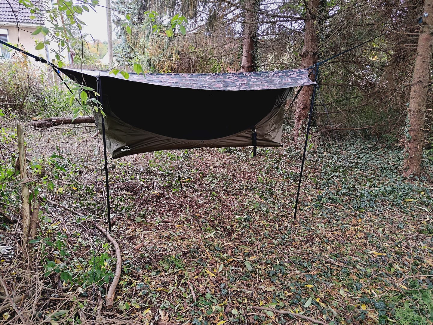 Customer photo review of Haven Safari