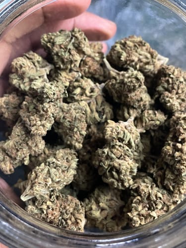 Customer photo review of Cheap THCA Flower Half Pound